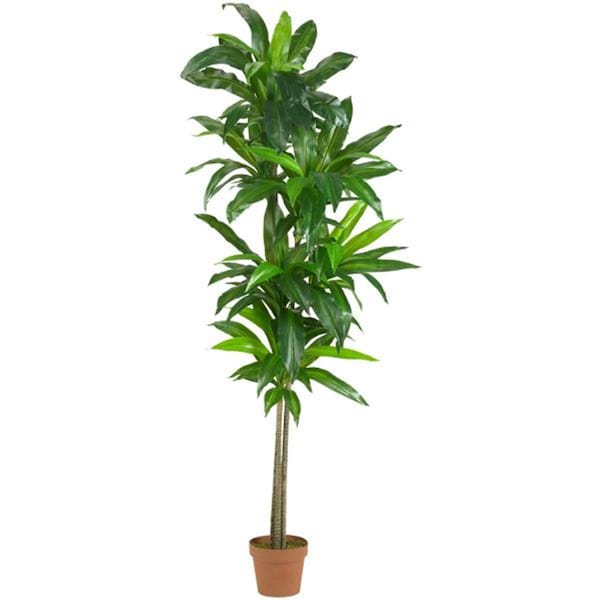 Nearly Natural 6 and rsquo; Dracaena Silk Plant - Real Touch 6596 - main